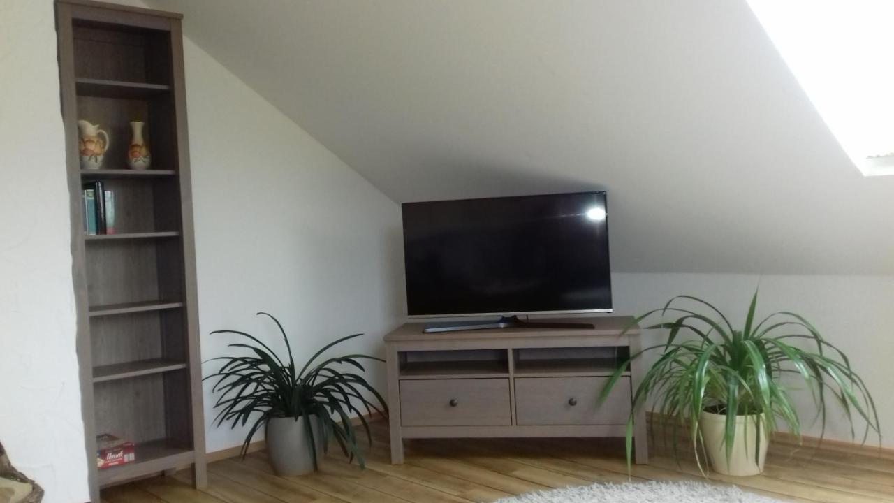 Haus Am Park Apartment Thallwitz Exterior photo